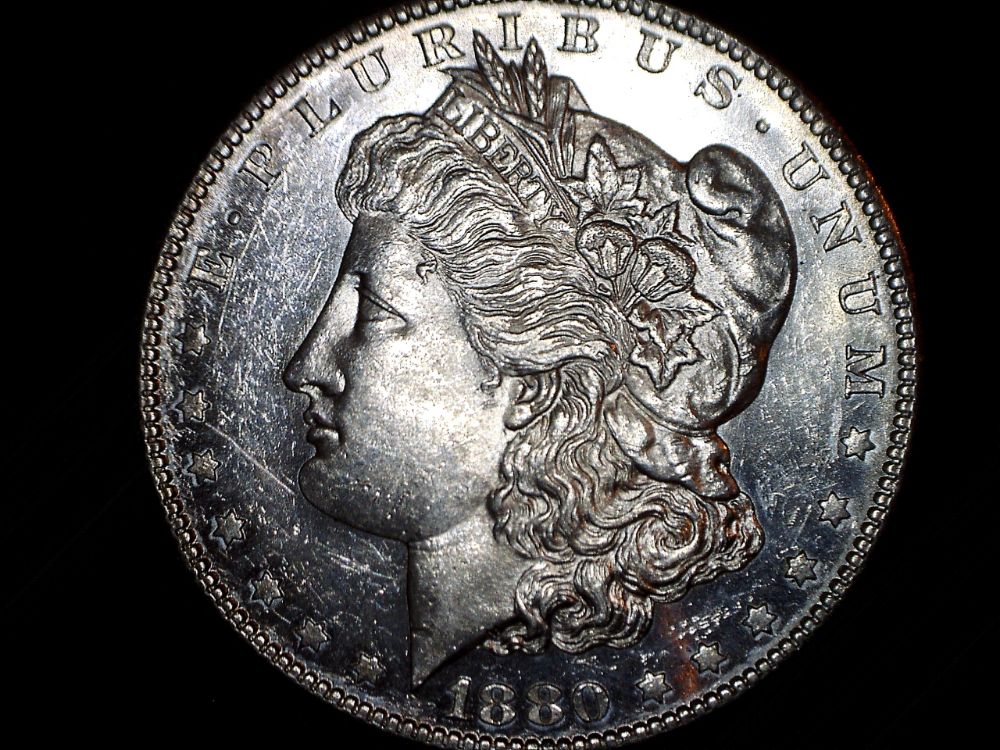 Need-Help-Confirming-1880-S-VAM