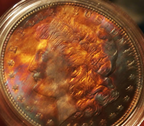Any-Experts-On-Toned-Morgans?