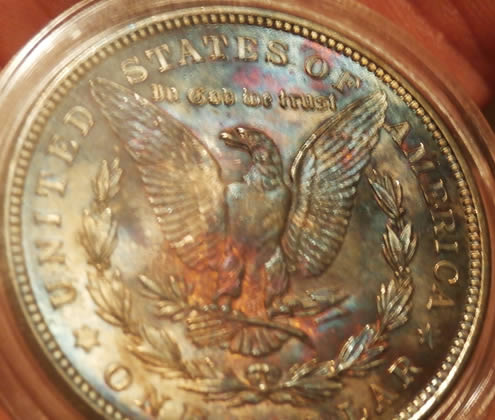 Any-Experts-On-Toned-Morgans?