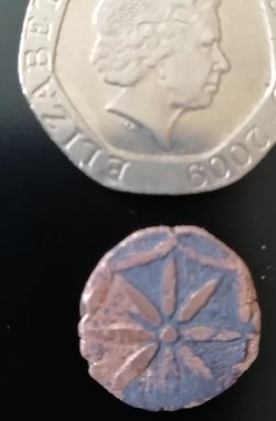 Help---Please--!--Mogul-Empire-Khans-Era-Coin-?