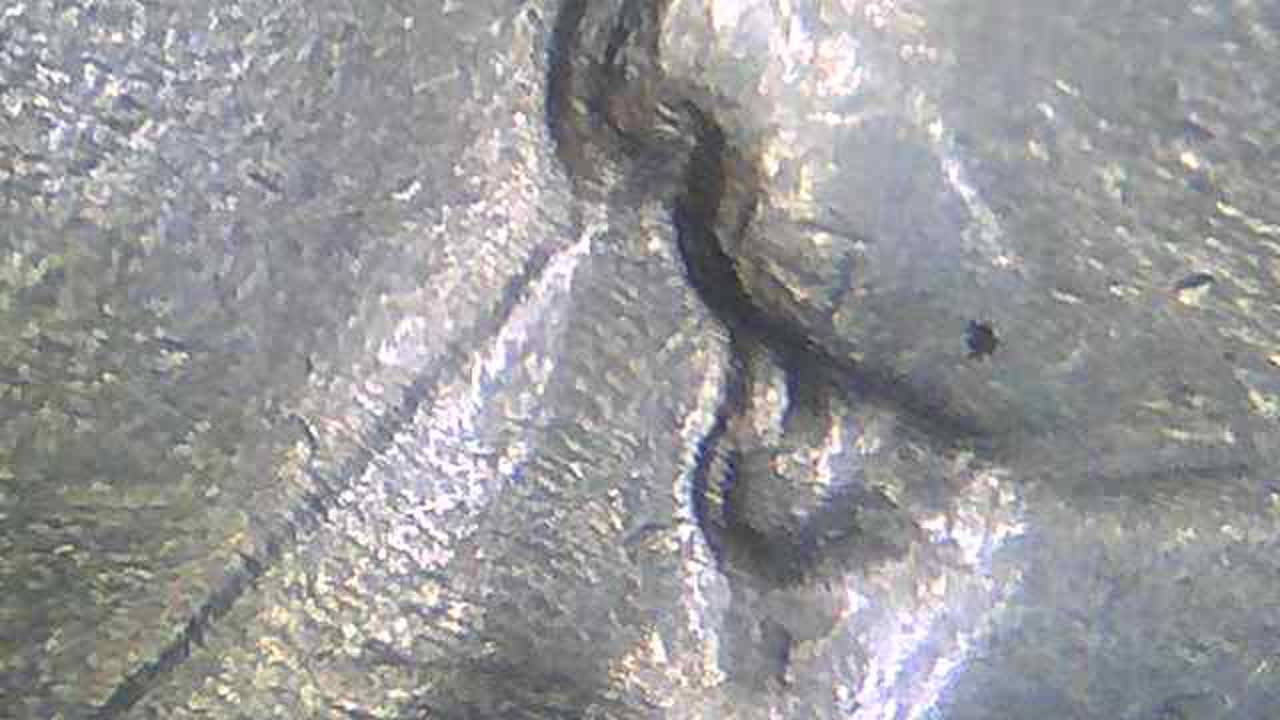 1971-Kenedy-Half-Dollar-Possible-Double-Eye