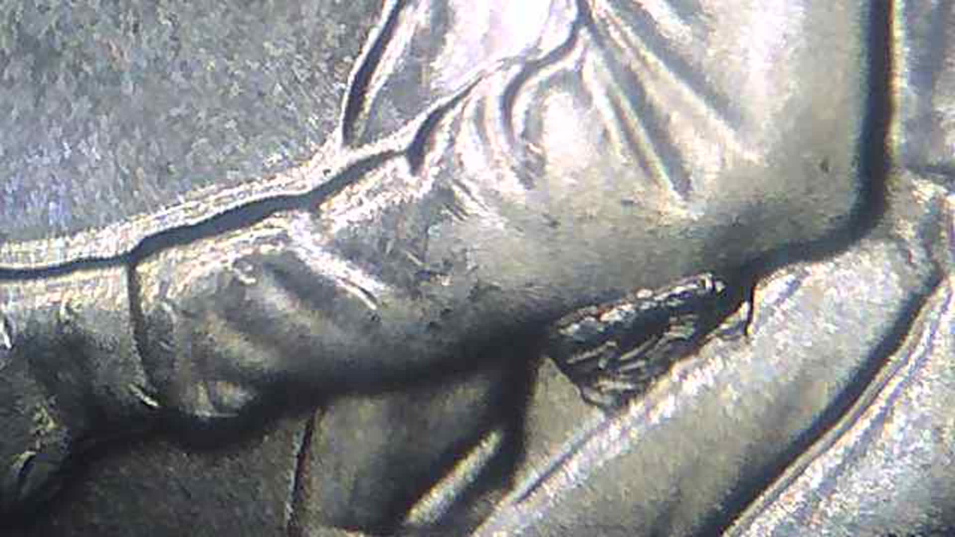 2020-Marsh-Billings-Rockefellers-Quarter-Possible-Foreign-Material-Or-Cud