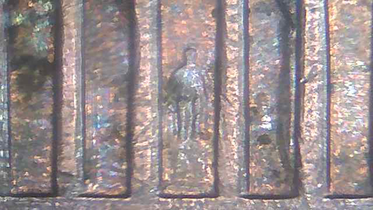 1996-D-Lincoln-Cent-Doubled-Die-Or-Die-Chip