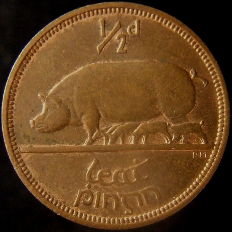 Animals-On-Circulating-Coins