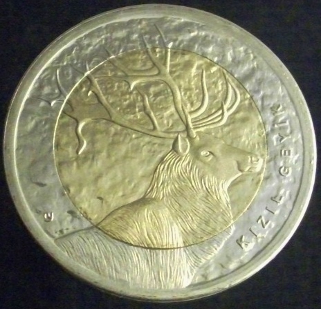 Continuing-List-To-Show-Everyones-Latest-Acquisitions