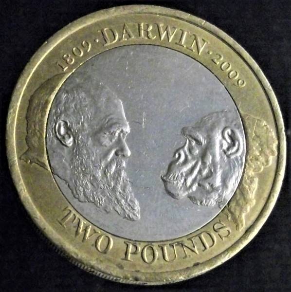 Post-Your-Coins-With-Monkeys,-Apes-And-Other-Primates