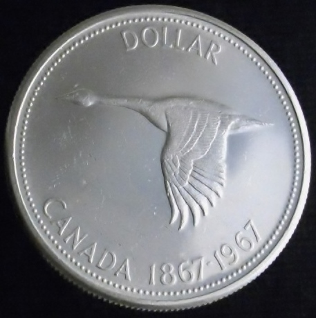 Post-Your-Bird-Coins