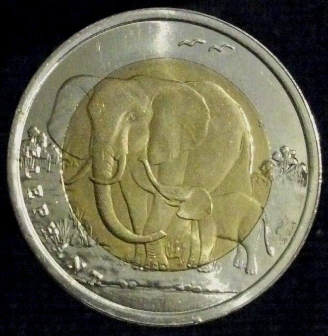 Post-Your-Coins-With-Elephants.