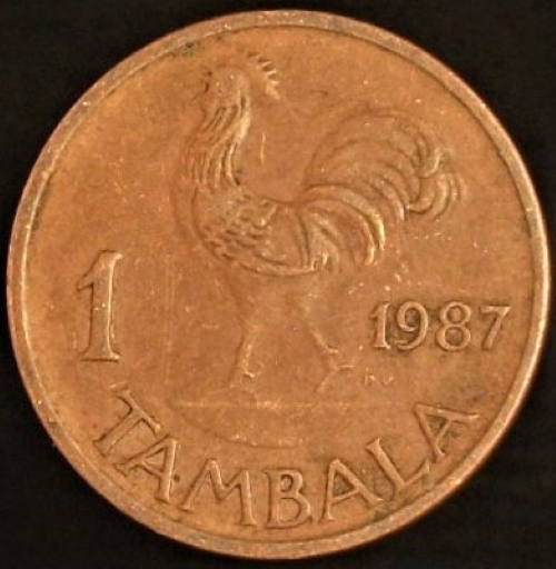 Bring-Out-Your-KM#7-Or-Y#7-Coins-For-Show-&-Tell
