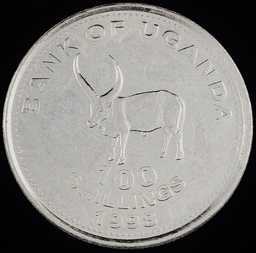 Bovine-Coins---Post-Yours