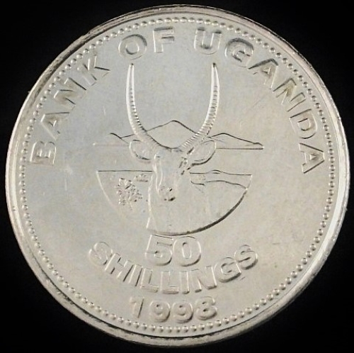 Bovine-Coins---Post-Yours