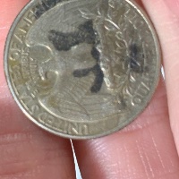 1996-P-Quarter-Brown-And-Black-Why?