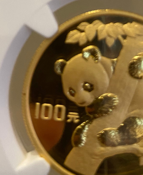Need-Advice-On-1996-Gold-Panda-MS-69-With-A-Scratch