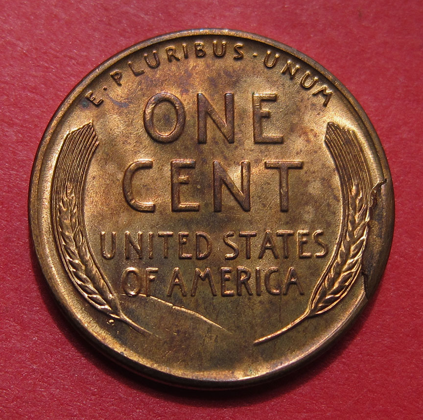 1955-S-Lincoln-Wheat-Cent---Cud,-Interior-Die-Break-And-RIDB---MS