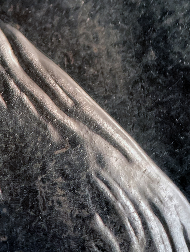 1969-S-Proof-Kennedy-Half-Dollar-Tripled-Die---What-Is-This?