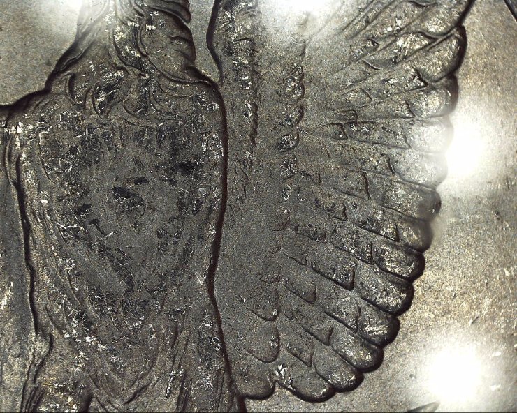 1878-S-Quad-Liberty?