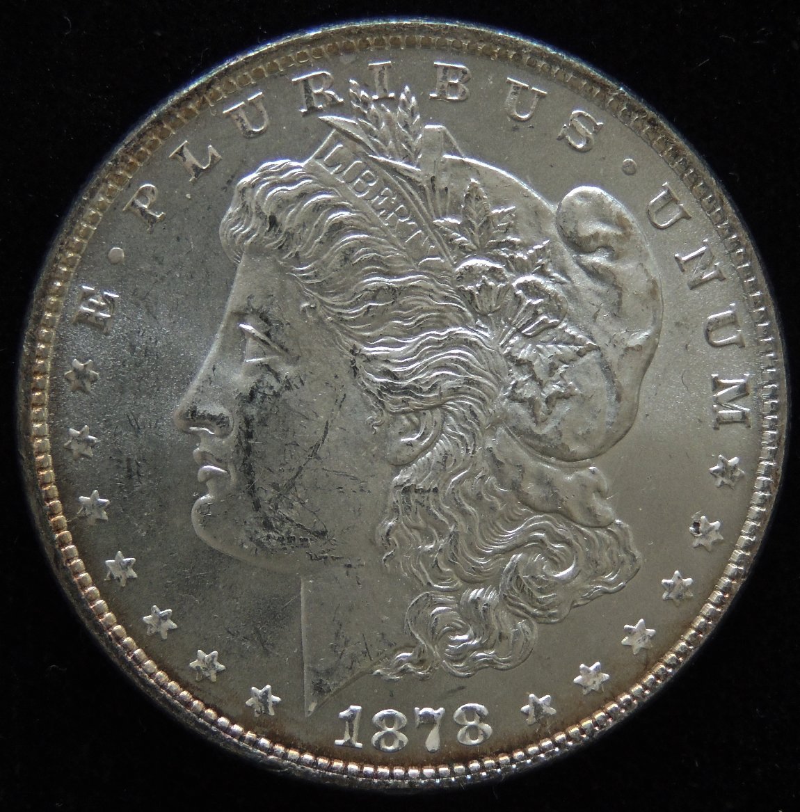1878-8TF-Morgan-Dollar-For-Your-Review