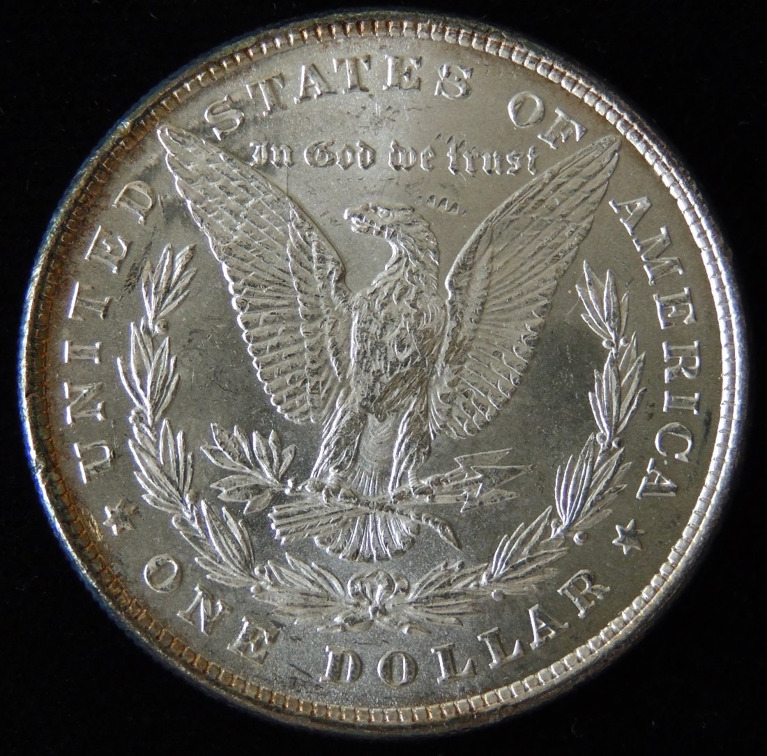 1878-8TF-Morgan-Dollar-For-Your-Review