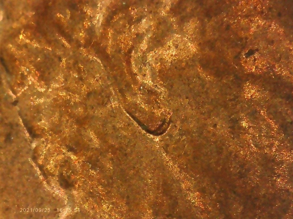 2017-D-Lincoln-Double-Ear-Or-PMD