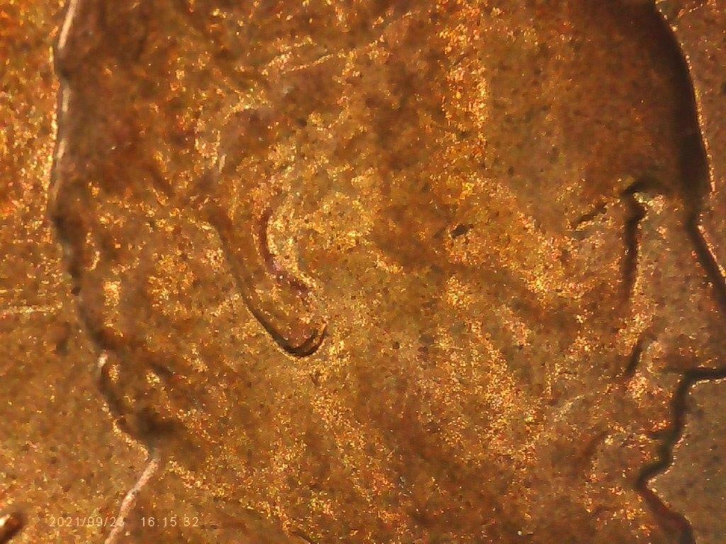 2017-D-Lincoln-Double-Ear-Or-PMD