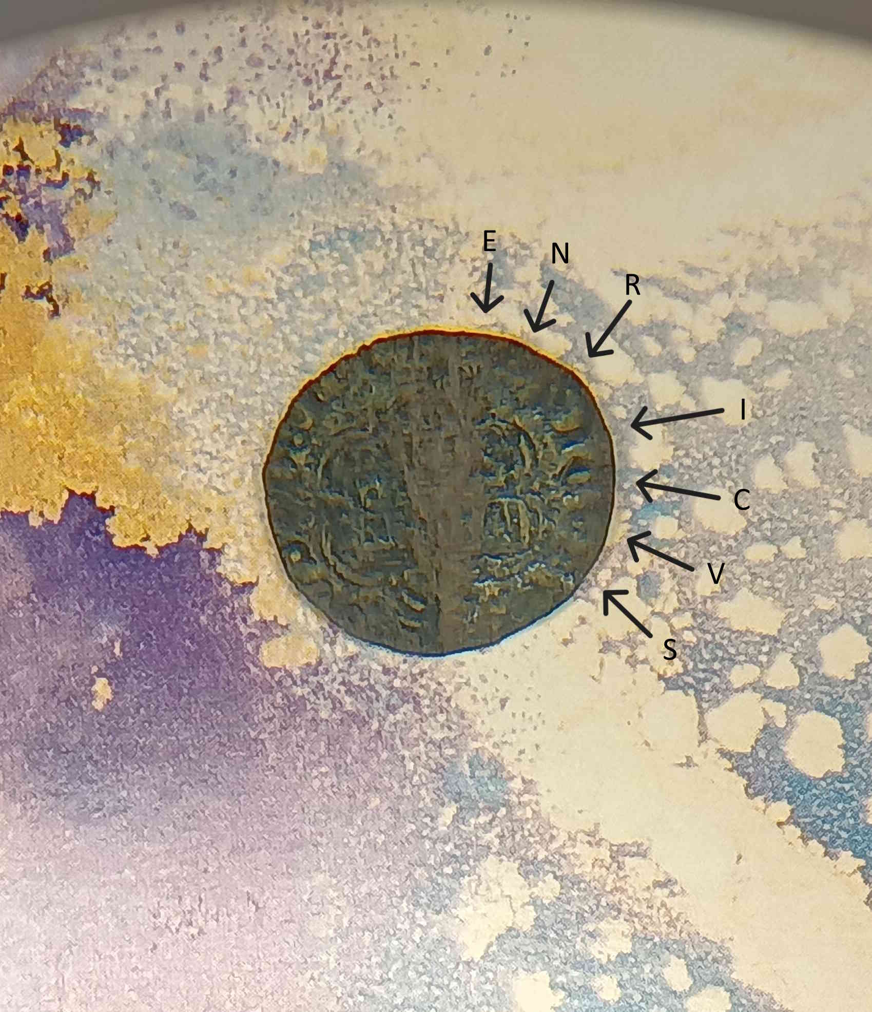 Help-To-Identify-A-Crusty-Hammered-Medieval-Coin
