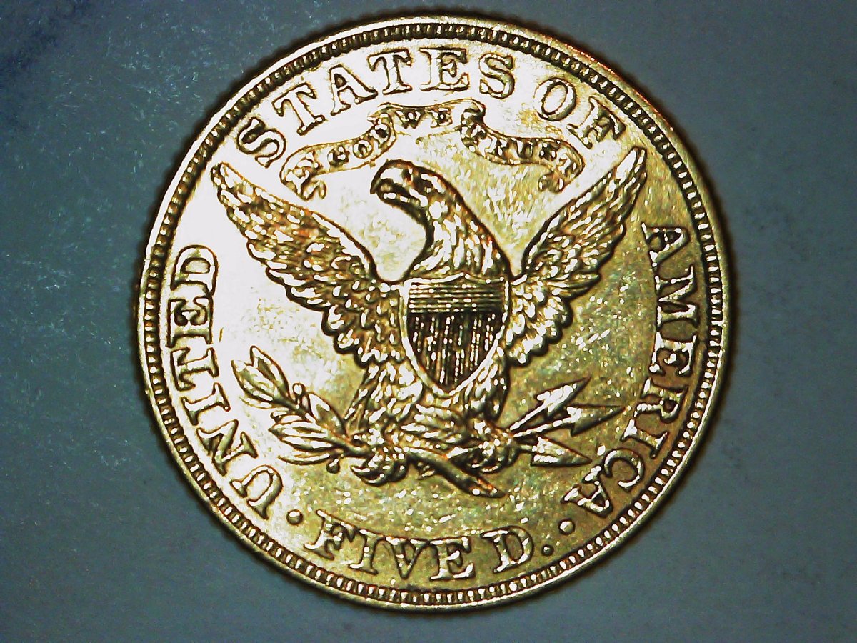 1882-Half-Eagle-For-Grading