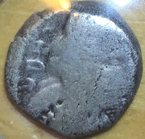 Post-#16:-Please-Help-Identify-Ruler/Cat#-On-Nabataean-AR-Drachm