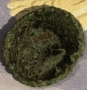 Post-#69:-Are-Any-Of-These-Coins-Suffering-From-Bronze-Disease?