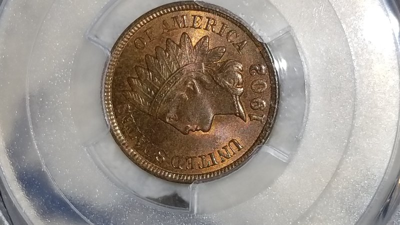 Started-My-Indian-Head-Cents-Collection