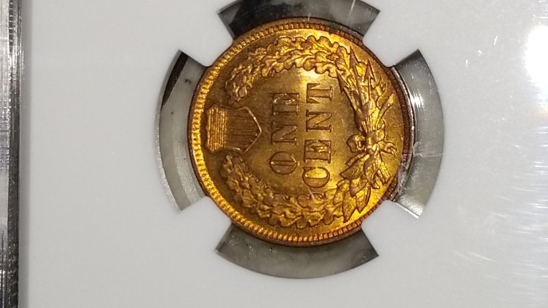 Started-My-Indian-Head-Cents-Collection