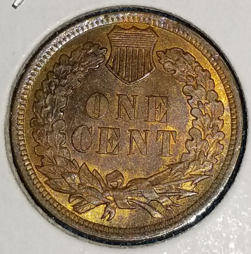 Started-My-Indian-Head-Cents-Collection
