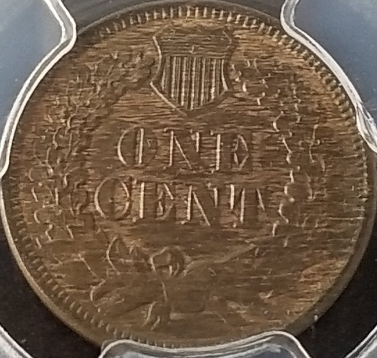 Started-My-Indian-Head-Cents-Collection