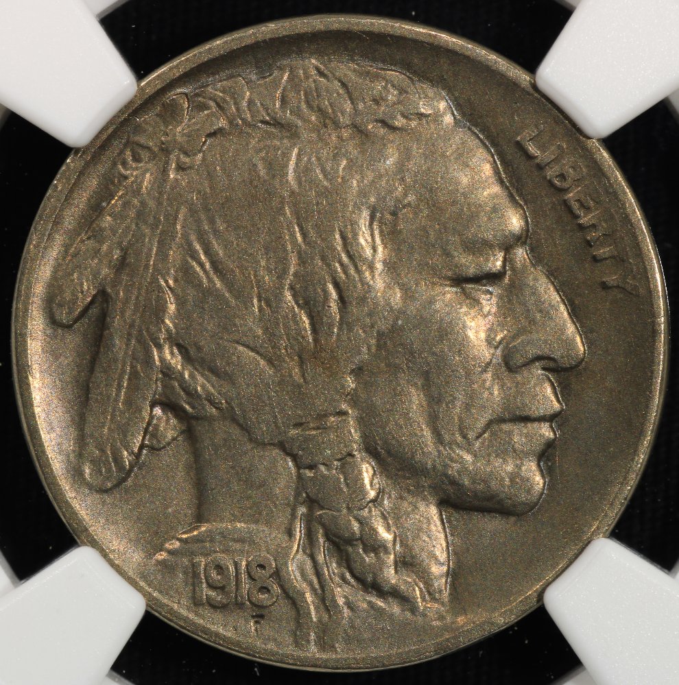1918-D-Buffalo...you-Vs-NGC-And-ANACS