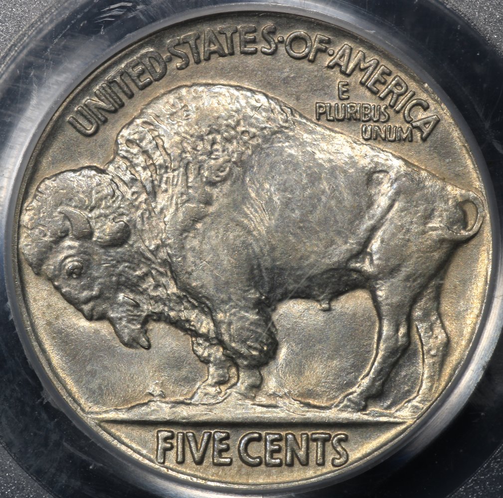 Ty2020B-Buffalo-Nickel-AU-/-MS-Set....in-Progress-W/Updates