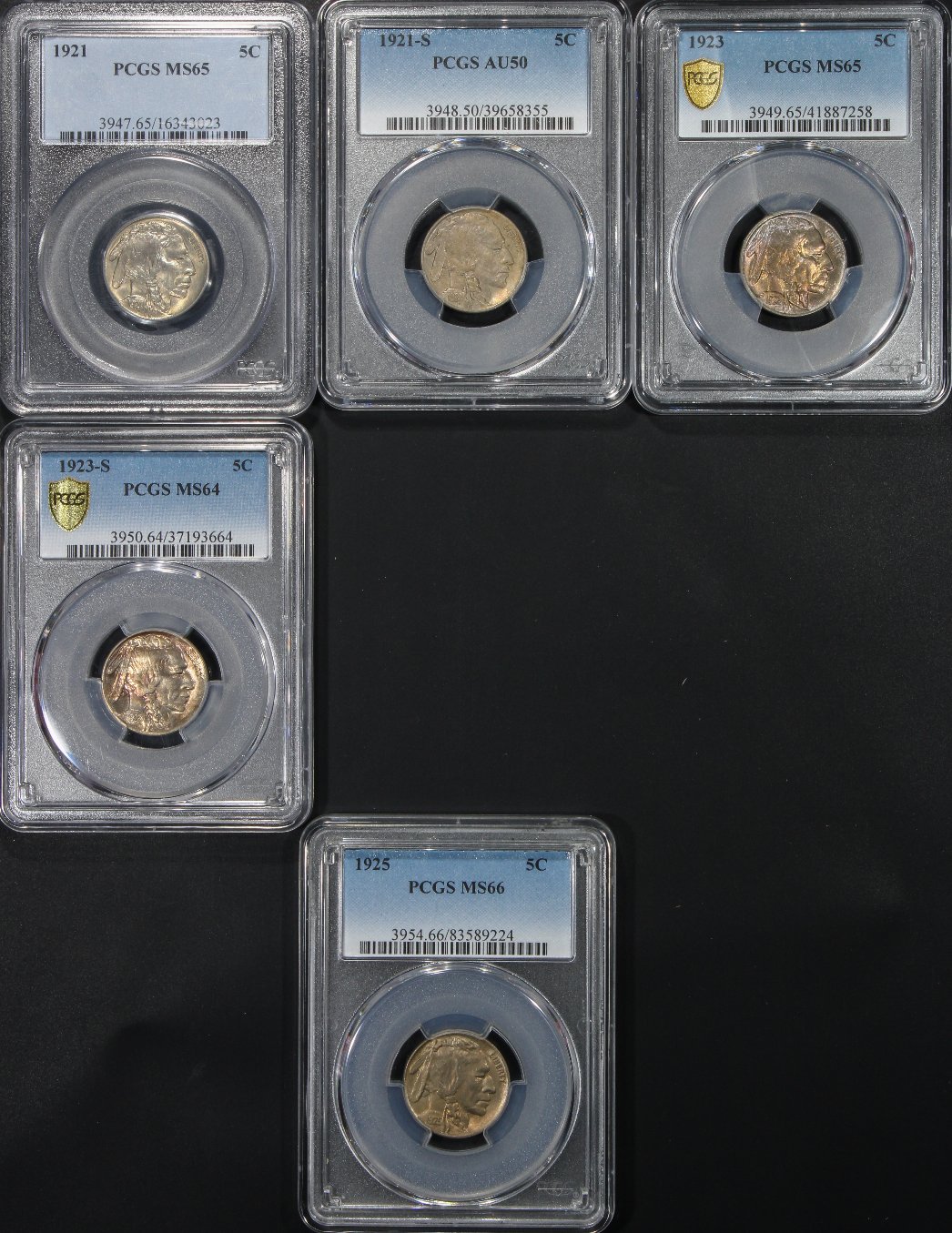 Ty2020B-Buffalo-Nickel-AU-/-MS-Set....in-Progress-W/Updates