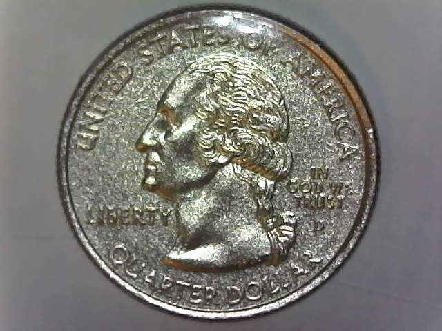 State-Quarter-Plastic-Coated-With-Gold-Highlights-On-Reverse