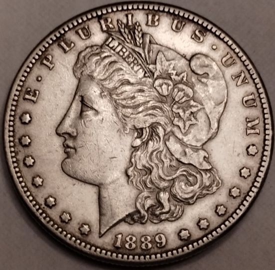 1889-CC-Morgan-Grading-Opinions