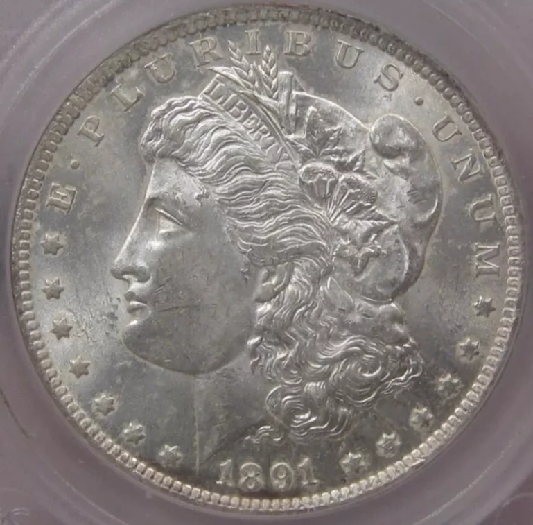 1891-CC-VAM-3-Morgan-Silver-Dollar