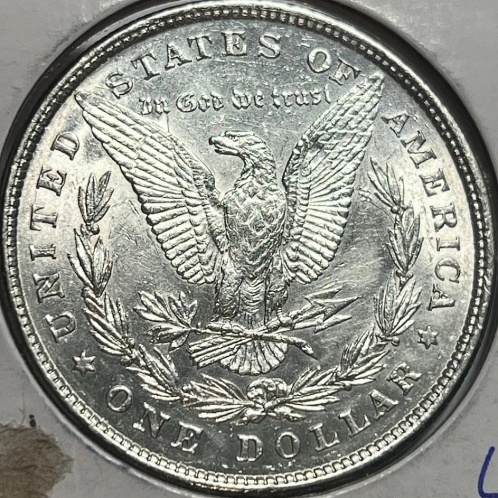 Clashed-1878-8TF-Morgan-Silver-Dollar-Solved---It's-A-14.1A