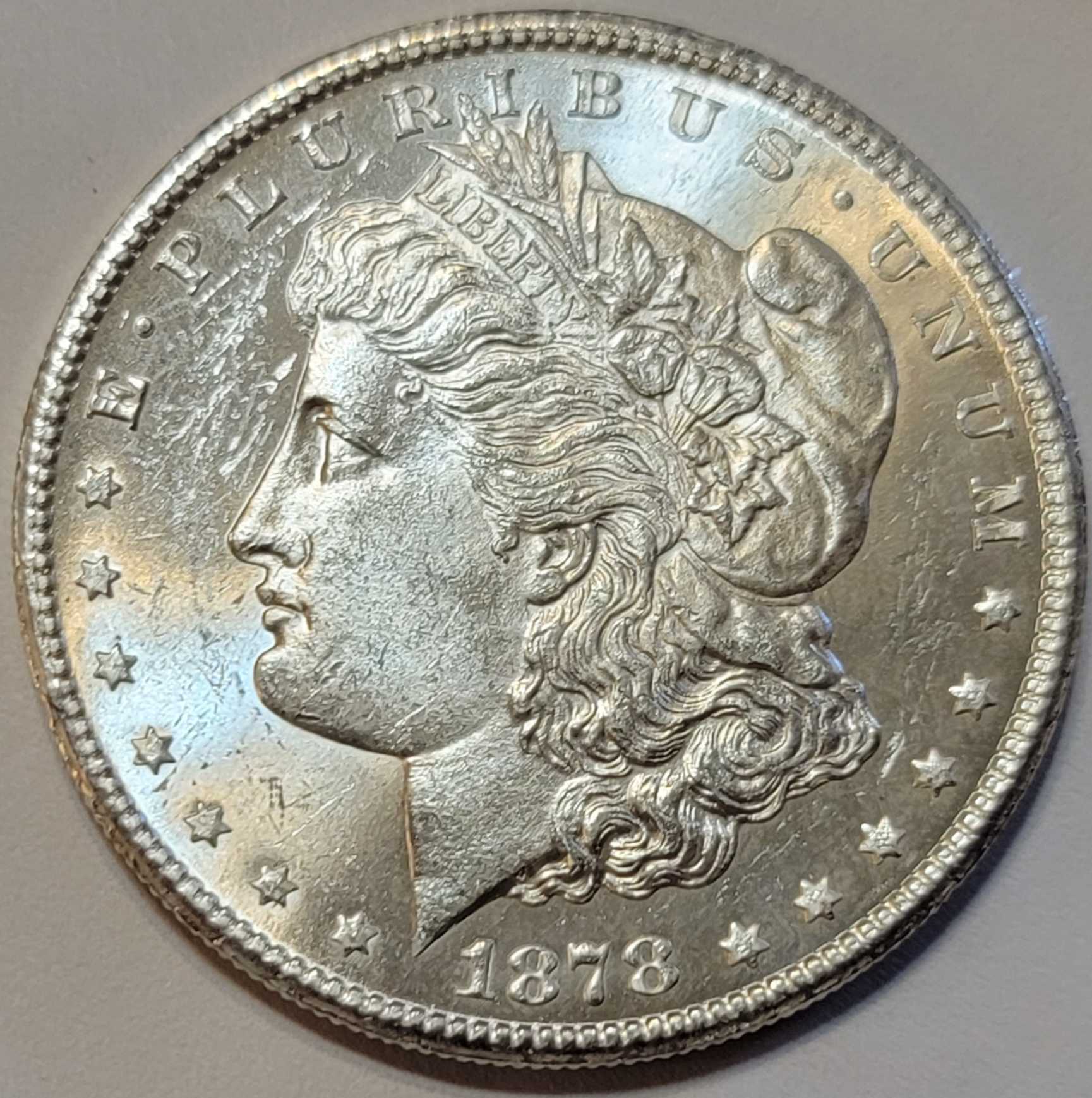1878-S-Morgan-Silver-Dollar-Project