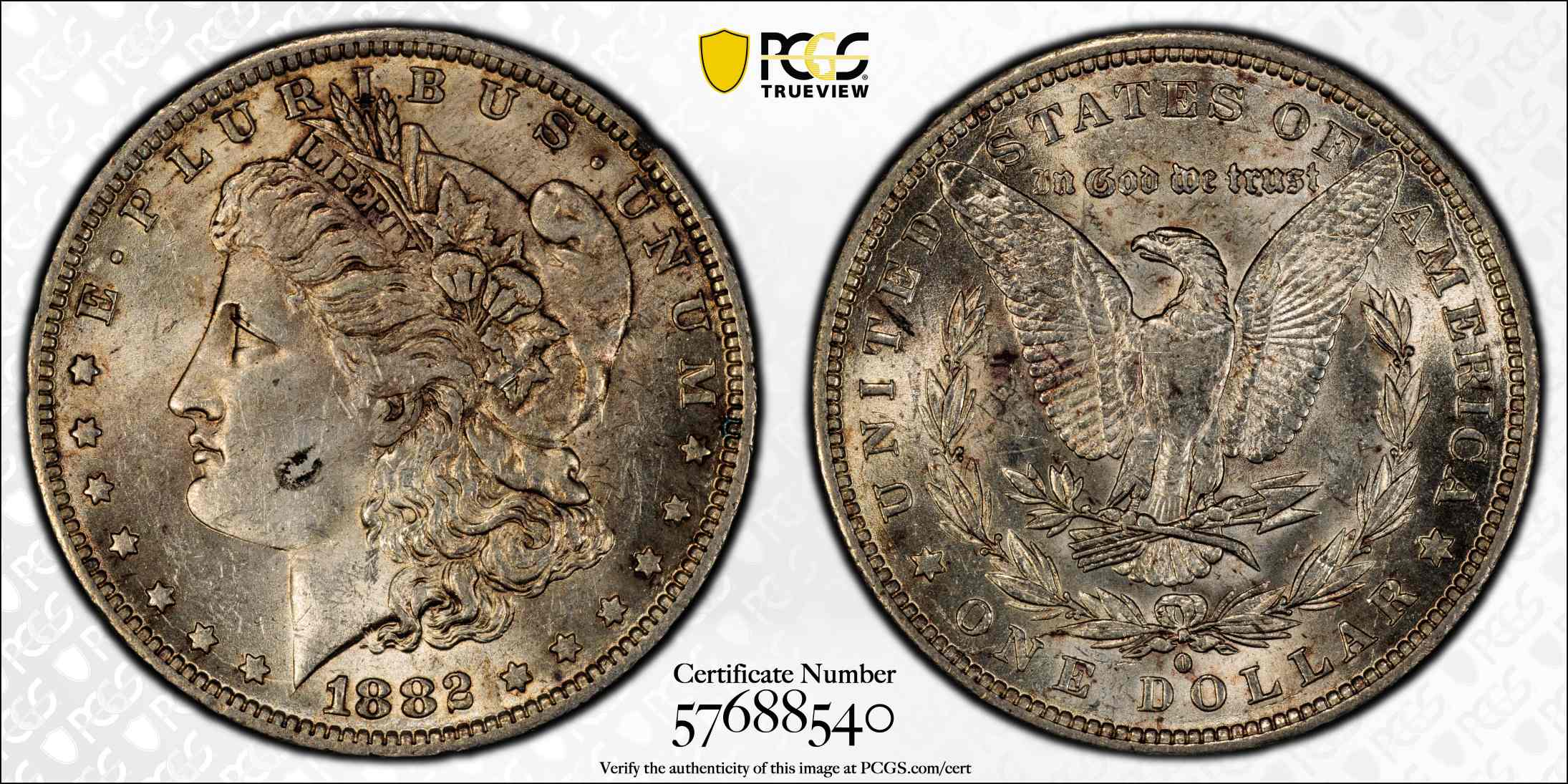 1882-O-Morgan-Silver-Dollar---You-Vs.-Me