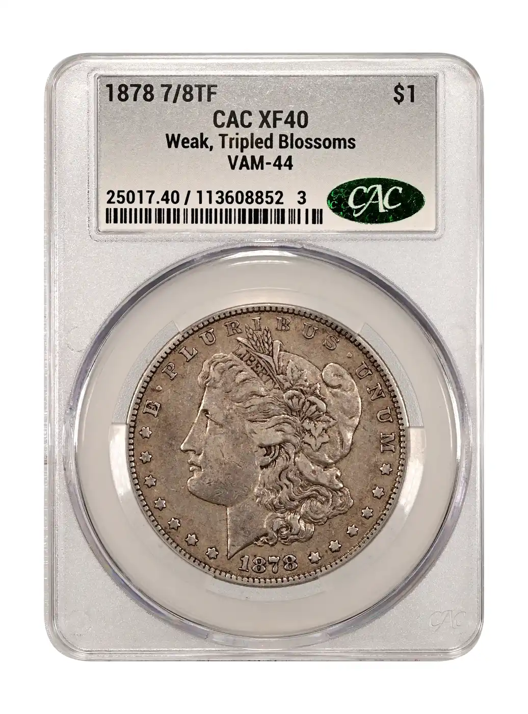 1878-7/8TF-Morgan-Silver-Dollar---You-Vs.-CACG:-Nothingburger-Edition