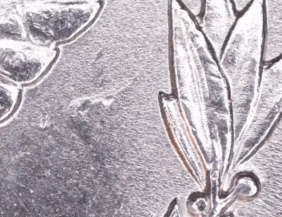 1896-S-Morgan-Silver-Dollar---Potential-New-VAM