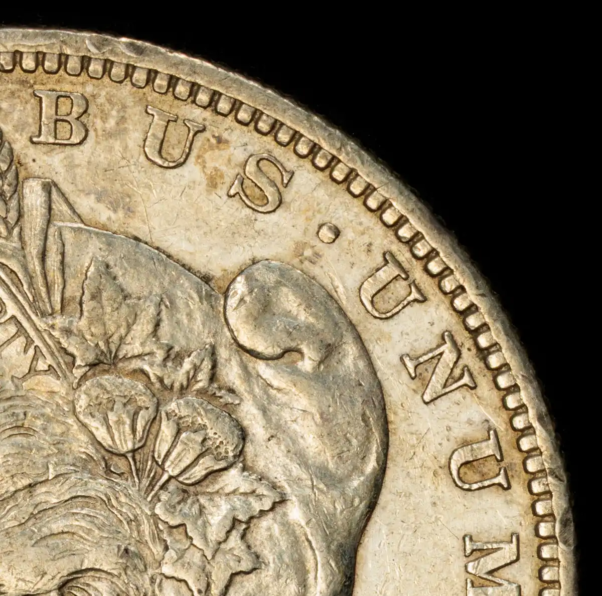 1879-S-R78-Morgan-Attribution---PCGS-Vs-You-And-Me