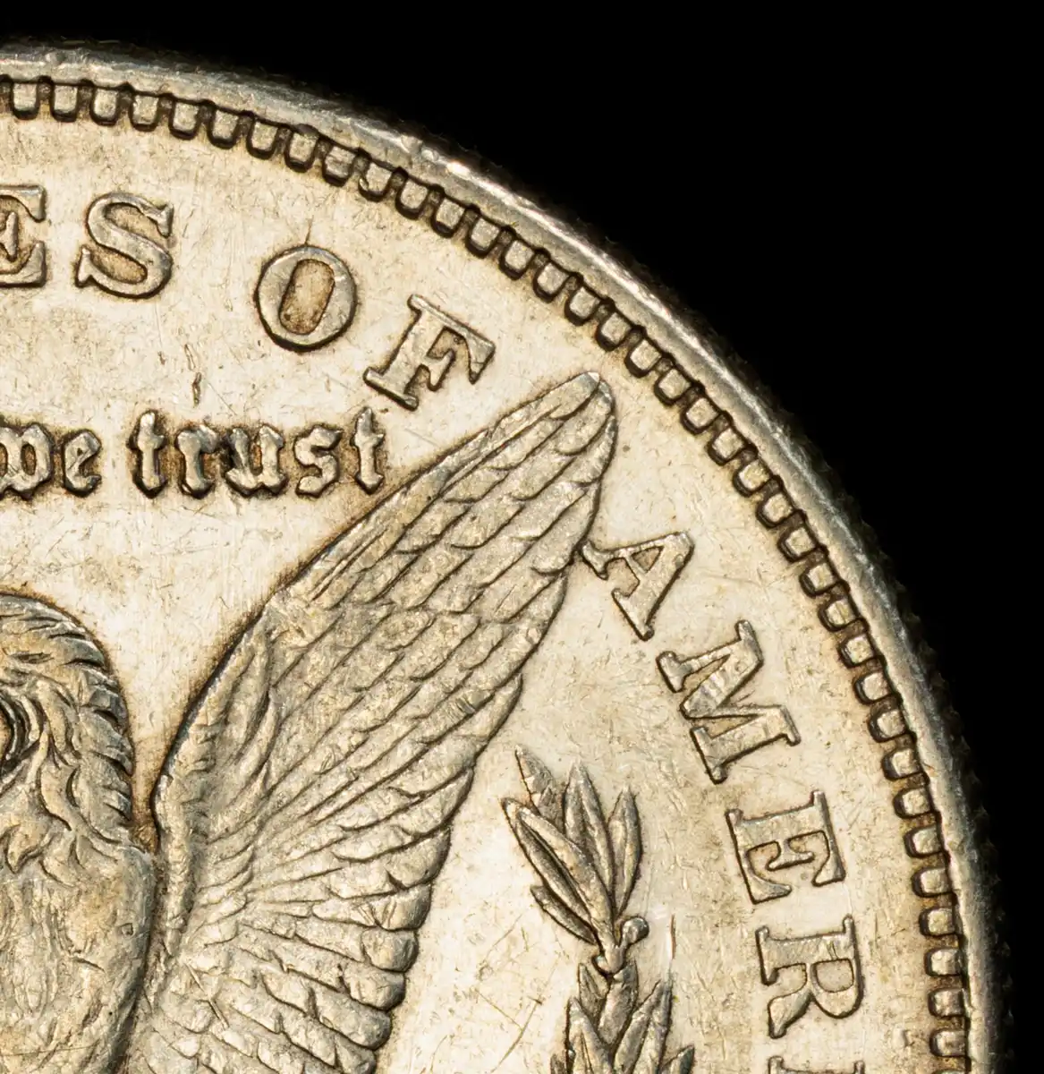 1879-S-R78-Morgan-Attribution---PCGS-Vs-You-And-Me