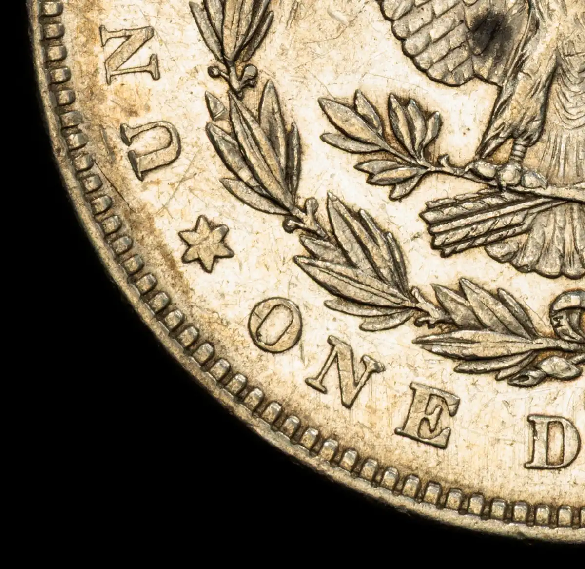 1879-S-R78-Morgan-Attribution---PCGS-Vs-You-And-Me