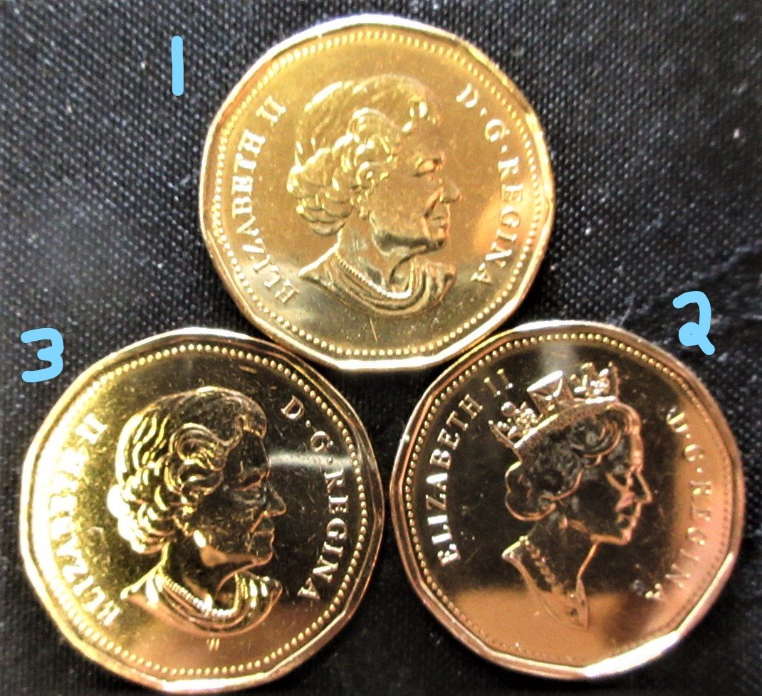 Have-You-Found-These-Loonies?