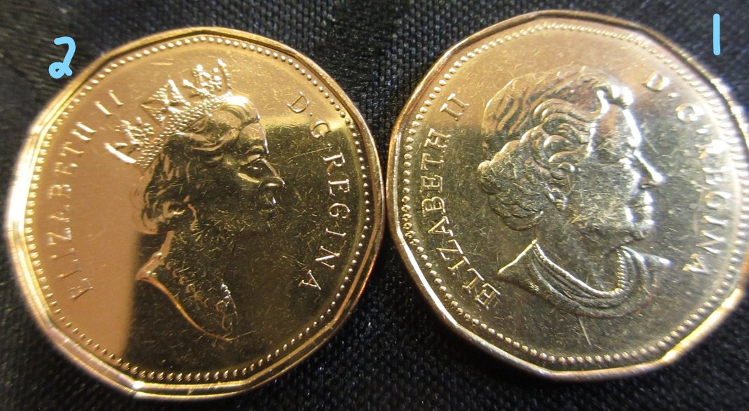 Have-You-Found-These-Loonies?