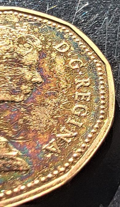 What-Is-Going-On-Here?-Deteriorating-Lacquer-On-NCLT-Loon-Dollar.
