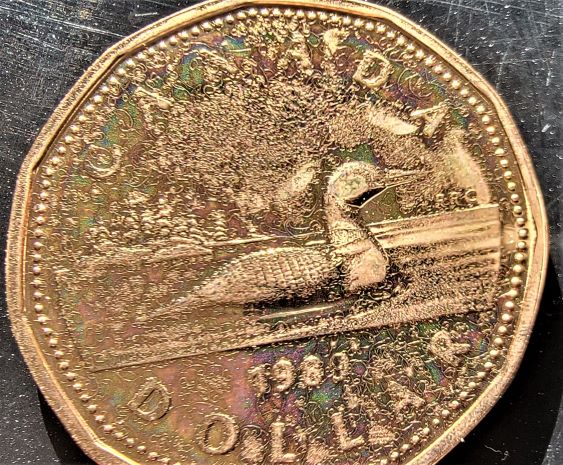 What-Is-Going-On-Here?-Deteriorating-Lacquer-On-NCLT-Loon-Dollar.